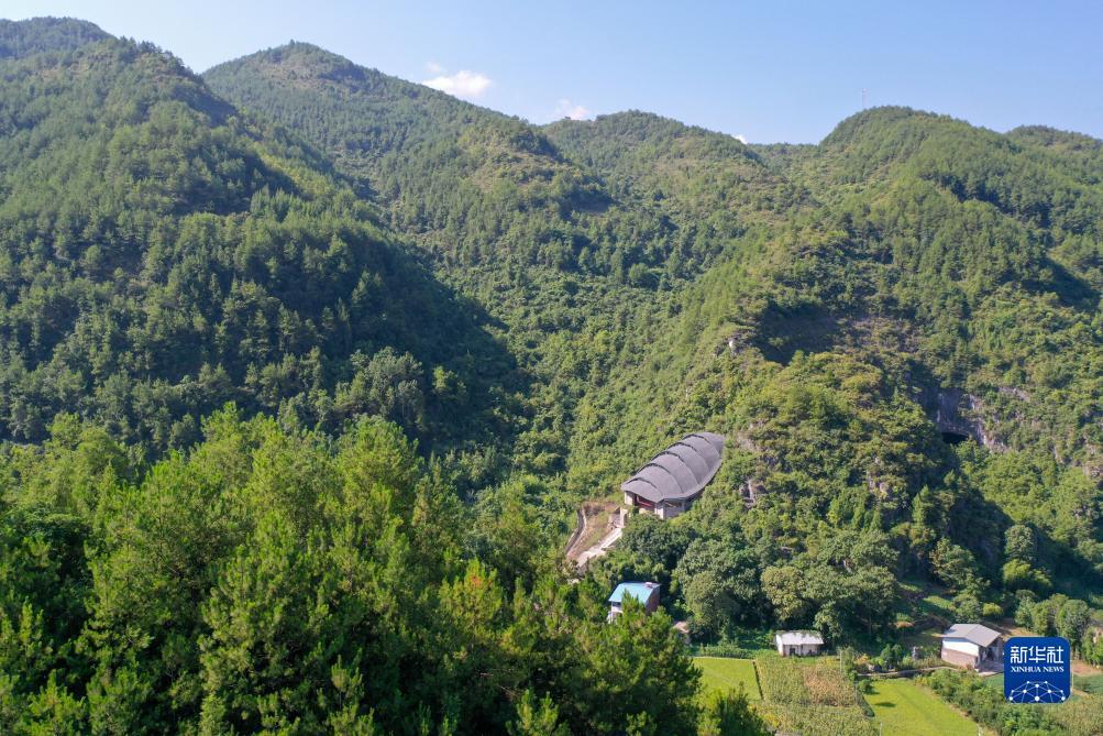 新天地注册